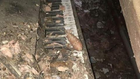 June 2018 - You-Were-But-A-Ghost-In-My-Arms77.jpg