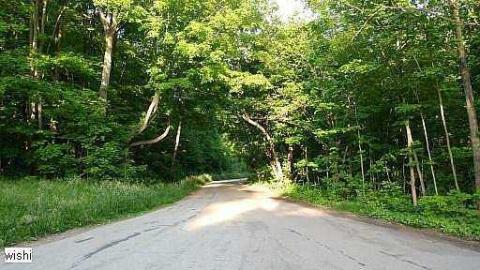 LttV R.I.P - Left-to-the-Vultures-(house)31.jpg