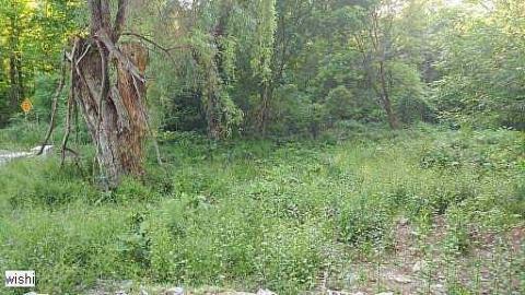 LttV R.I.P - Left-to-the-Vultures-(house)33.jpg