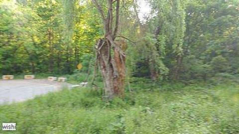 LttV R.I.P - Left-to-the-Vultures-(house)35.jpg