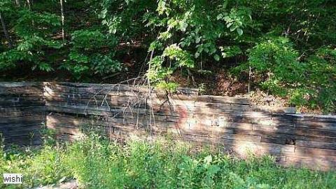 LttV R.I.P - Left-to-the-Vultures-(house)41.jpg