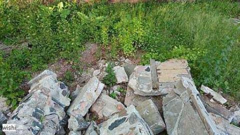 LttV R.I.P - Left-to-the-Vultures-(house)42.jpg