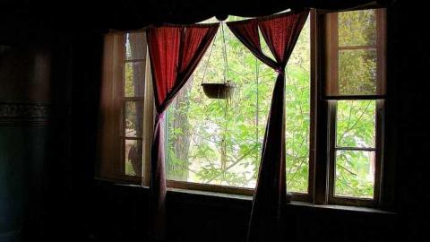 Hang In There Baby - 4a.jpg