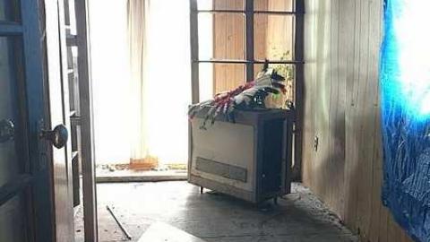 June 2018 - f-IMG_1090.jpg