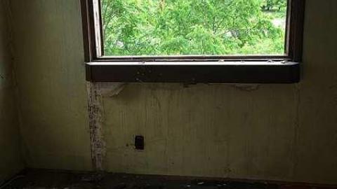 June 2018 - e-IMG_1105.jpg