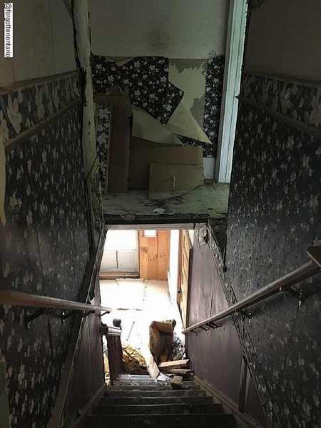 King Kong - Haldimand County, Ontario