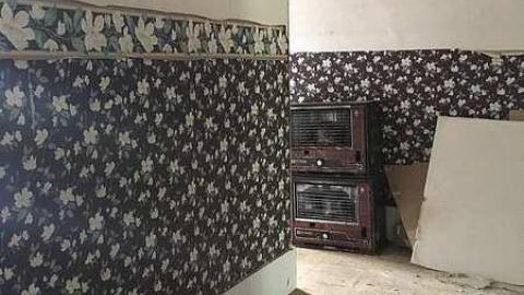 June 2018 - b-IMG_1113.jpg