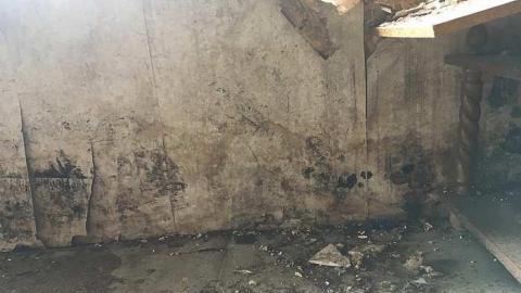 June 2018 - k-IMG_1131.jpg