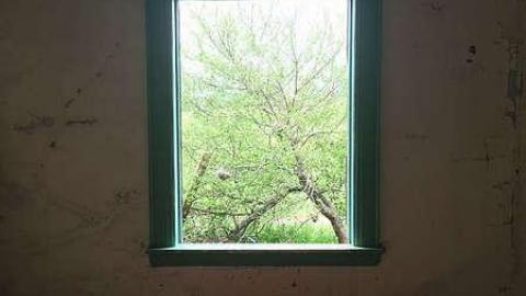 Photo from June 2018