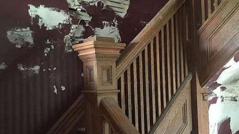 June 2018 - t-IMG_1053.jpg