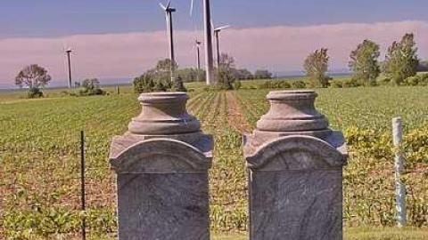 Turbineview  - Lakeview-Pioneer-Cemetery10.jpg