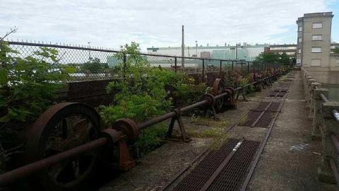 Lock (2018) - Where-Cats-Go-To-Die27.jpg