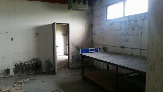 House and Warehouse photo 3