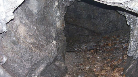 Ophir (Havilah) Gold Mine photo 3