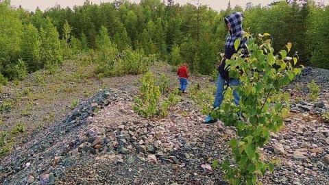 Ashley Gold Mine 2015 - Ashley-Gold-Mine1.jpg