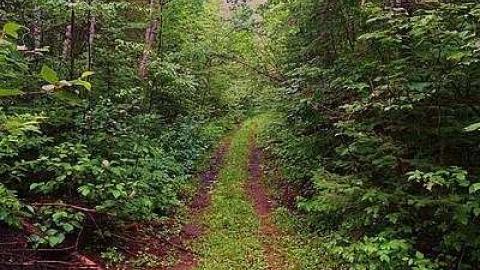 Ashley Gold Mine 2015 - Ashley-Gold-Mine7.jpg