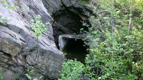 Ashley Gold Mine photo 2