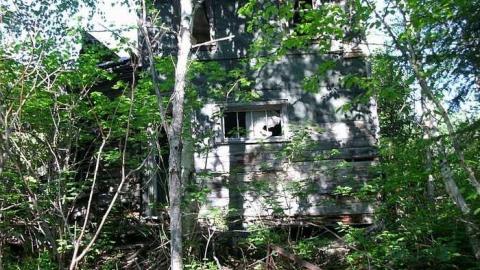 Ashley Gold Mine photo 5