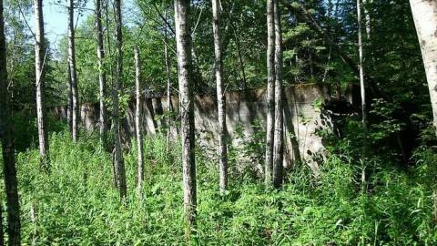 Ashley Gold Mine 2015 - Ashley-Gold-Mine10.jpg