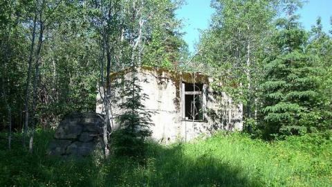 Ashley Gold Mine 2015 - Ashley-Gold-Mine5.jpg