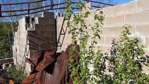 Ophir (Havilah) Gold Mine photo 5