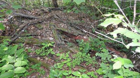 Ophir (Havilah) Mine -2018 - Ophir-(Havilah)-Gold-Mine22.jpg