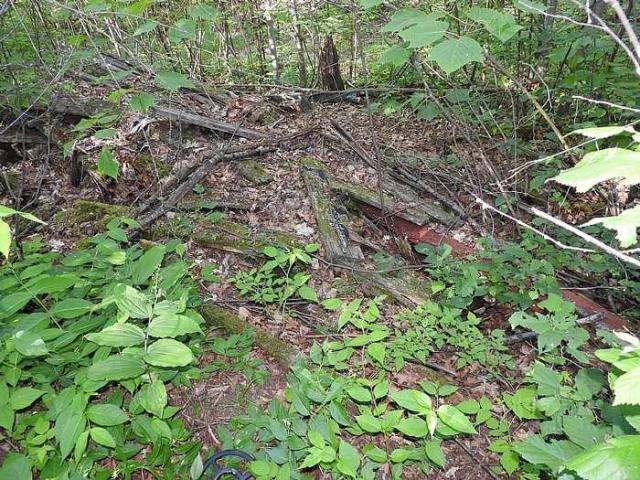 Ophir (Havilah) Gold Mine photo 2