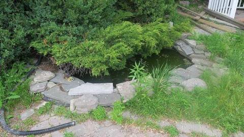 Photo from what will soon be no more