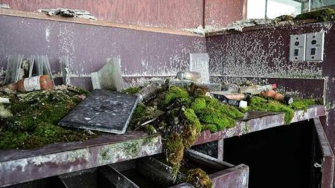 Silverdome - Silverdome12.jpg