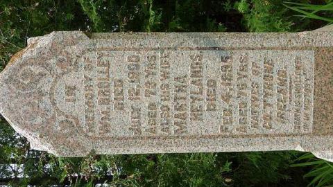 Egbert Pioneers - Egbert-Pioneer-Cemetery53.jpg