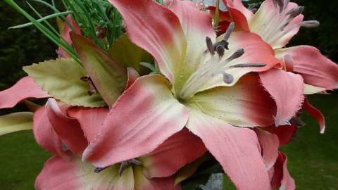 Egbert Pioneers - Egbert-Pioneer-Cemetery10.jpg