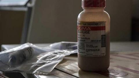 St. Patrick's - St.-Patricks-High-School11.jpg