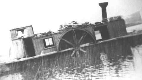 Photo from Rydal Bank 1900 - 2018