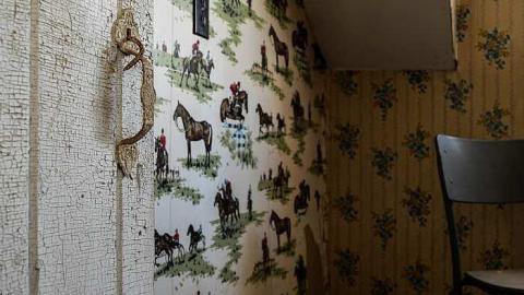 Plowed - Holey-Plow!70.jpg