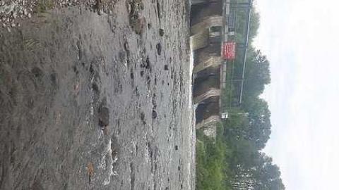 Rydal Bank 1900 - 2018 - Rydal-Bank3.jpg