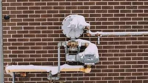 Gertrude Colpus Public School photo 3