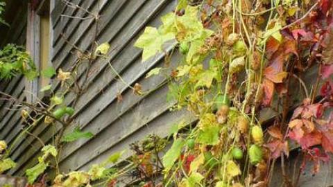 October 2011 - Hwy-400-near-Innisfil-Beach-Rd20.jpg