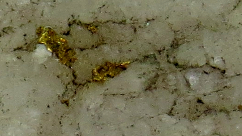 Shining Tree  - Shining-Tree-Mining-Camp7.png