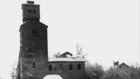 Shining Tree  - Shining-Tree-Mining-Camp2.png