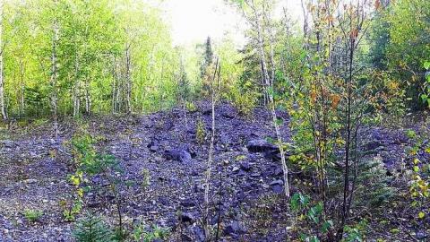 Shining Tree  - Shining-Tree-Mining-Camp9.jpg