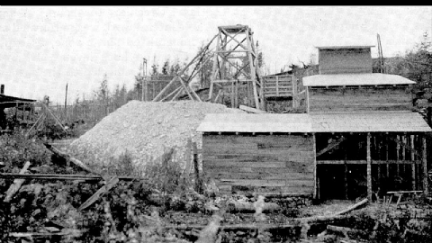 Shining Tree Mining Camp photo 2