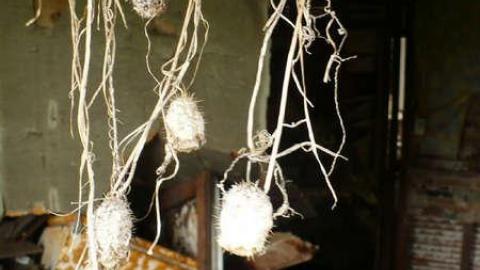 October 2011 - Hwy-400-near-Innisfil-Beach-Rd26.jpg