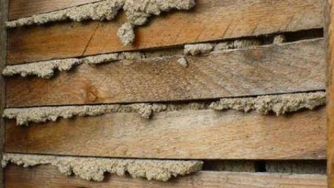 October 2011 - Hwy-400-near-Innisfil-Beach-Rd27.jpg