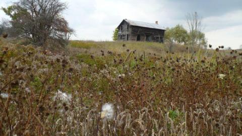 October 2011 - Hwy-400-near-Innisfil-Beach-Rd32.jpg