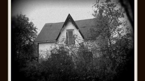 Cocaine Cowgirl - IMG_6537.jpg