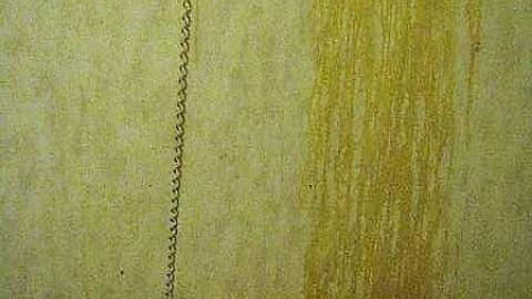 B is for Bloodcurdling - 5.jpg