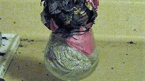 B is for Bloodcurdling - 12.jpg