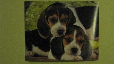 B is for Bloodcurdling - 22.jpg