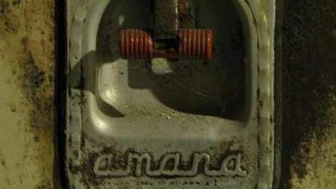 Photo from B is for Bloodcurdling