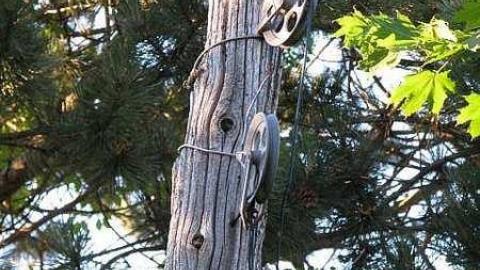 B is for Bloodcurdling - 52.jpg